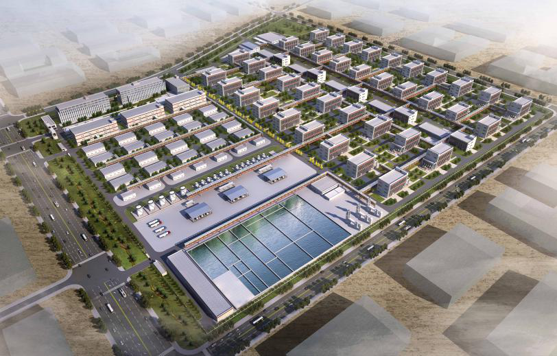 esball(�й���)�ٷ���վ