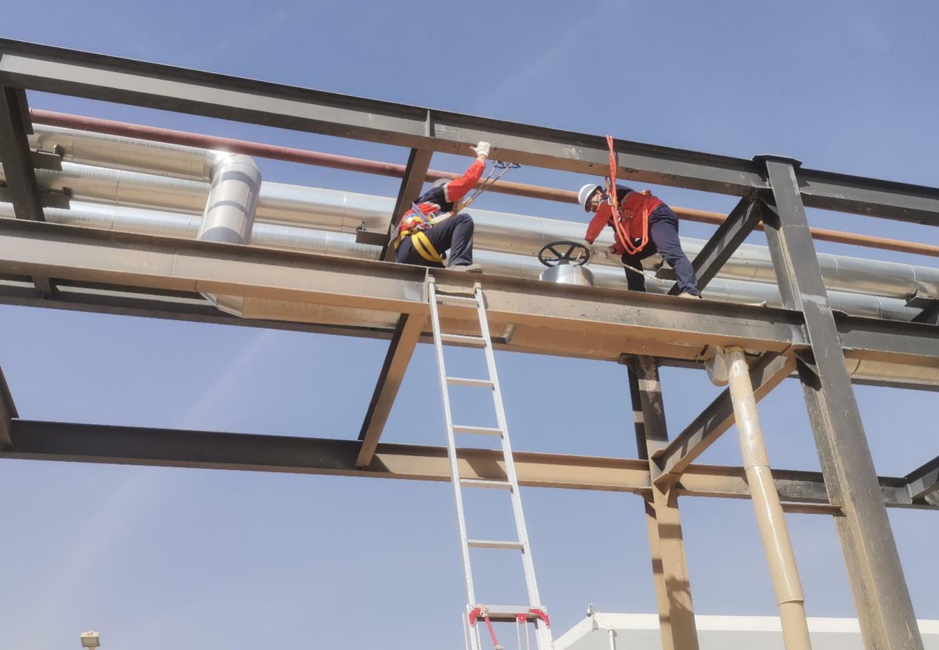 esball(�й���)�ٷ���վ