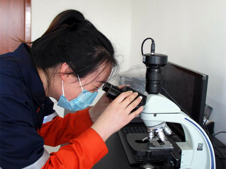 esball(�й���)�ٷ���վ