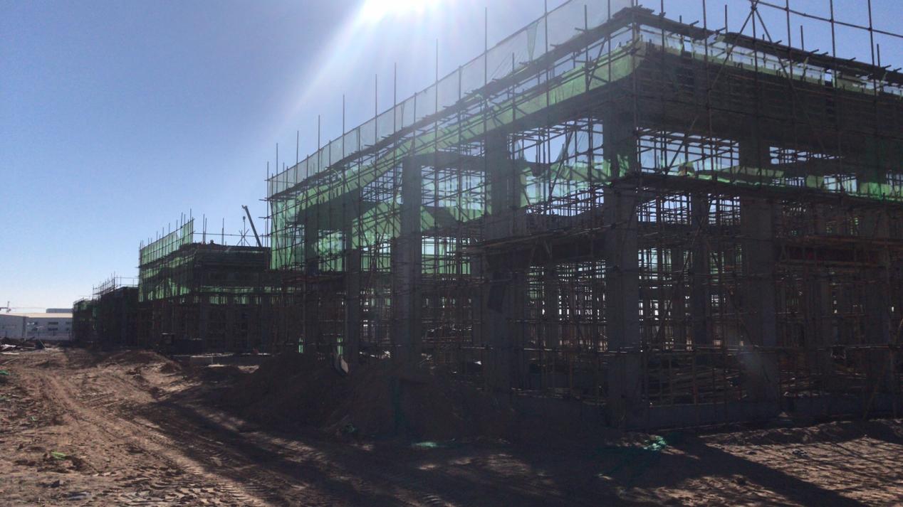 esball(�й���)�ٷ���վ