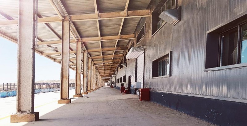 esball(�й���)�ٷ���վ