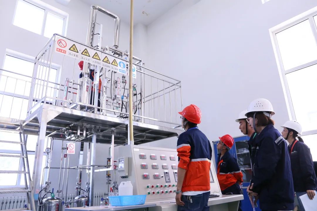 esball(�й���)�ٷ���վ