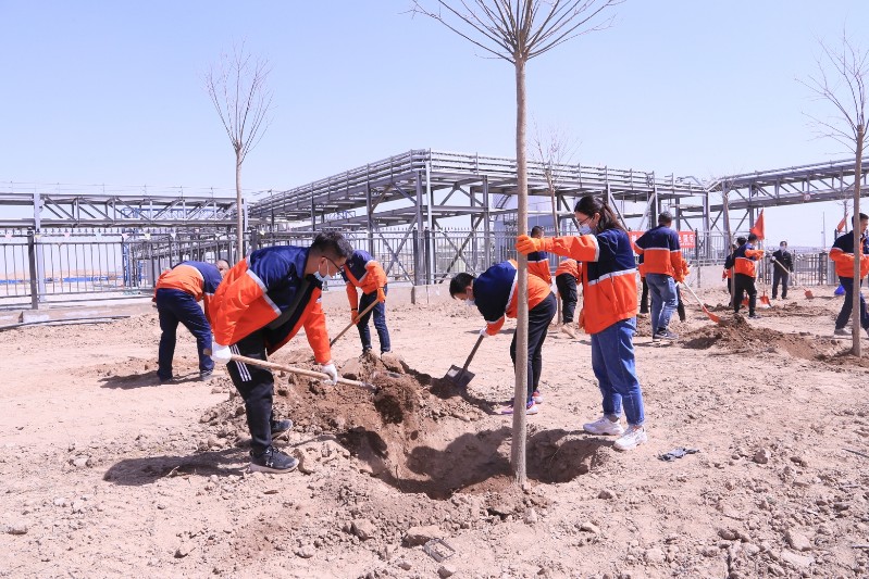 esball(中国区)官方网站