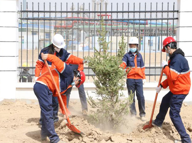 esball(�й���)�ٷ���վ