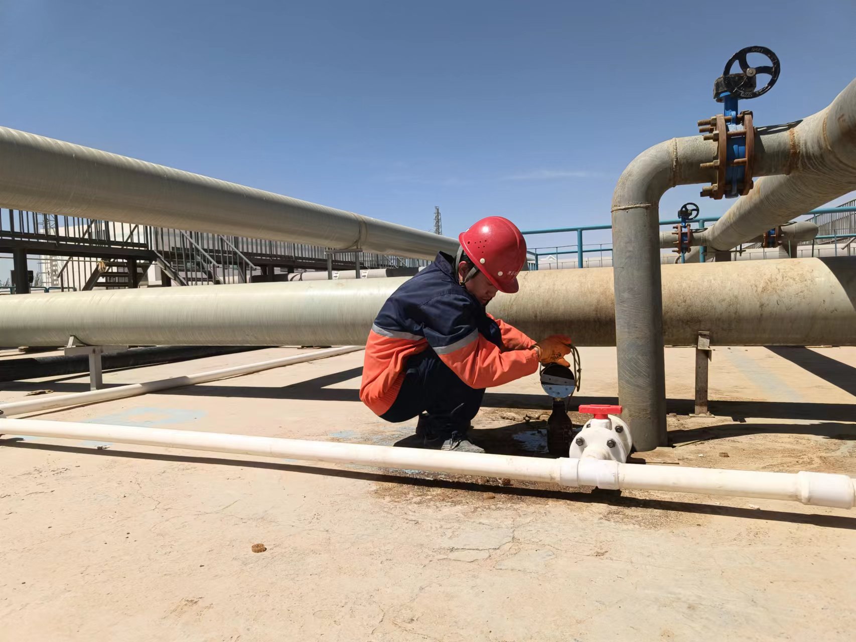 esball(�й���)�ٷ���վ