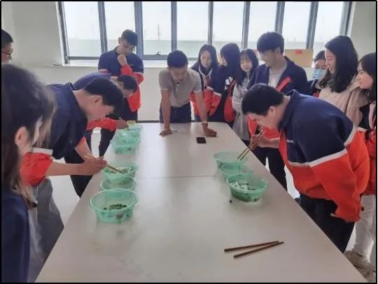 esball(�й���)�ٷ���վ