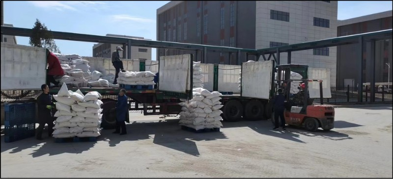 esball(�й���)�ٷ���վ