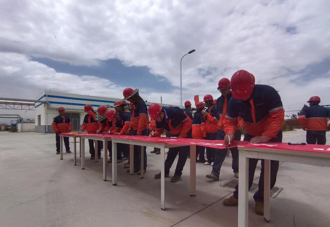 esball(�й���)�ٷ���վ