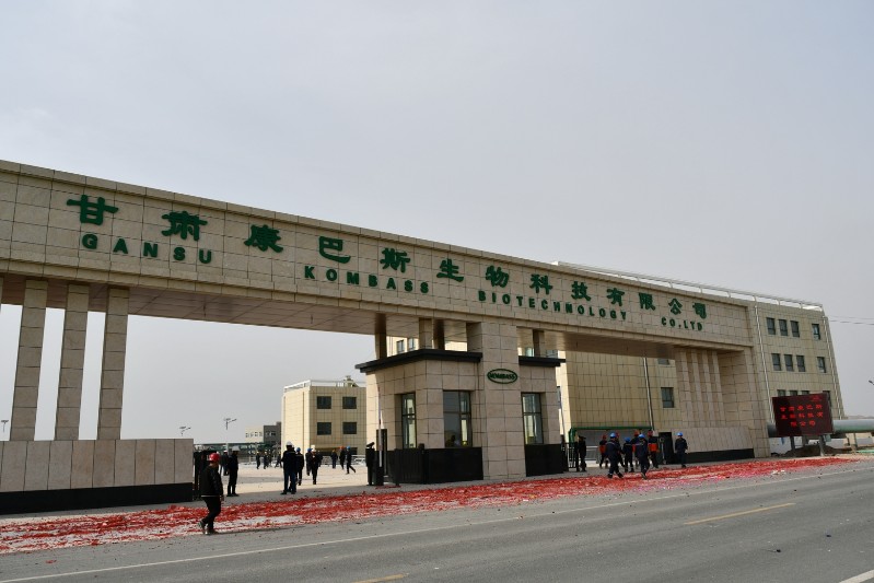 esball(中国区)官方网站