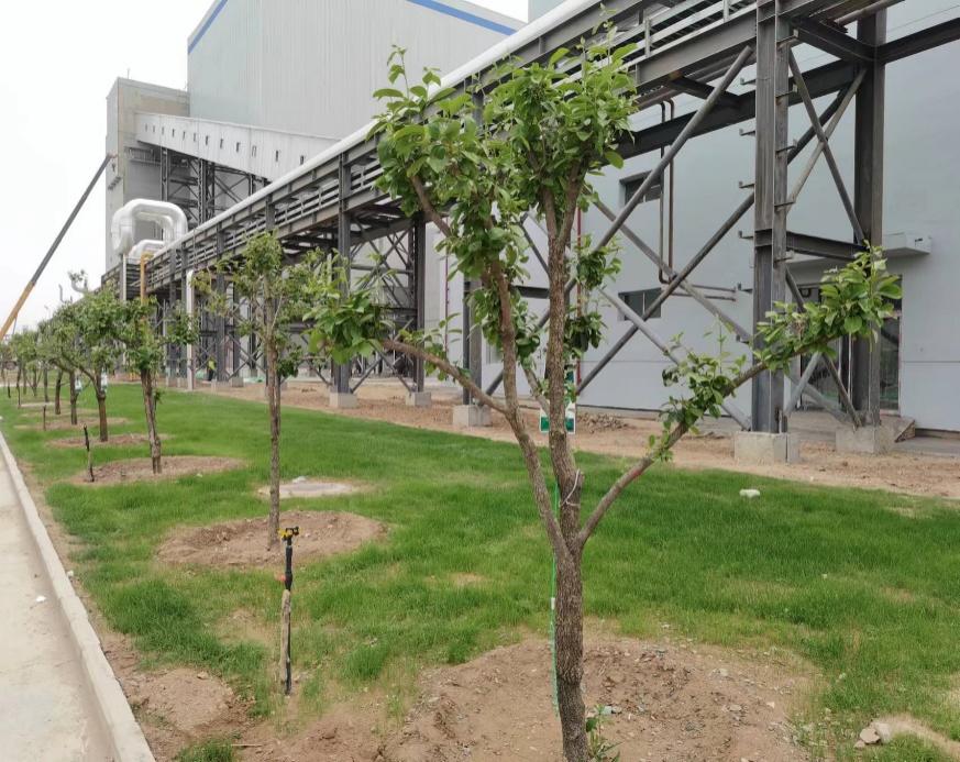 esball(�й���)�ٷ���վ