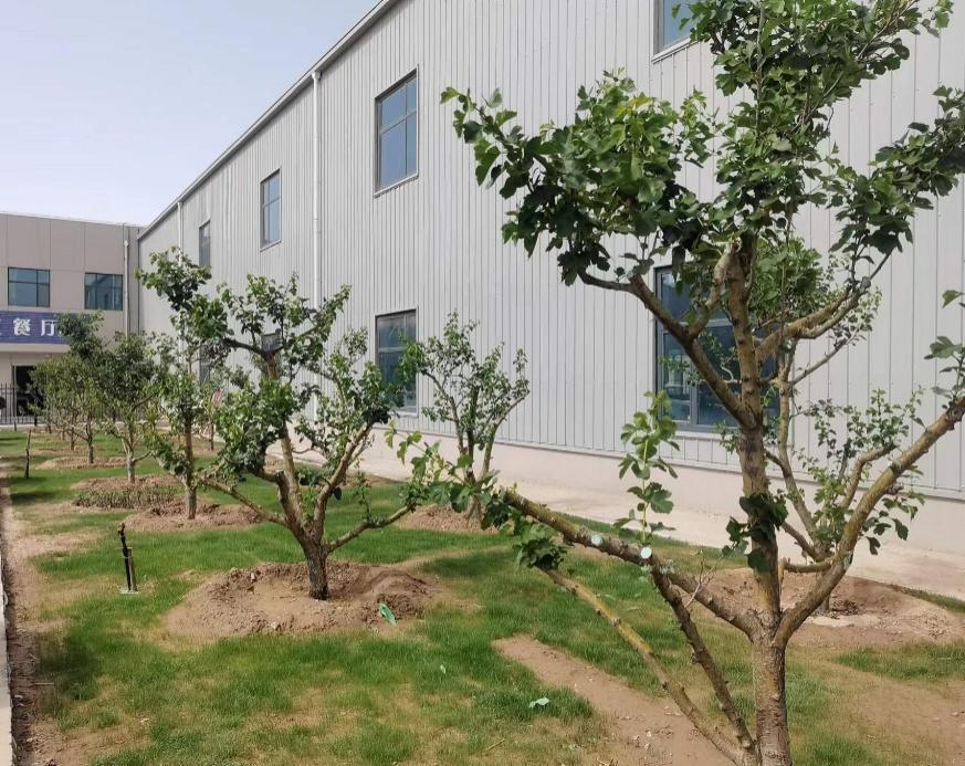 esball(�й���)�ٷ���վ