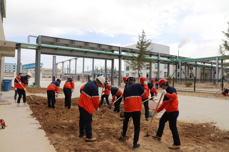 esball(�й���)�ٷ���վ