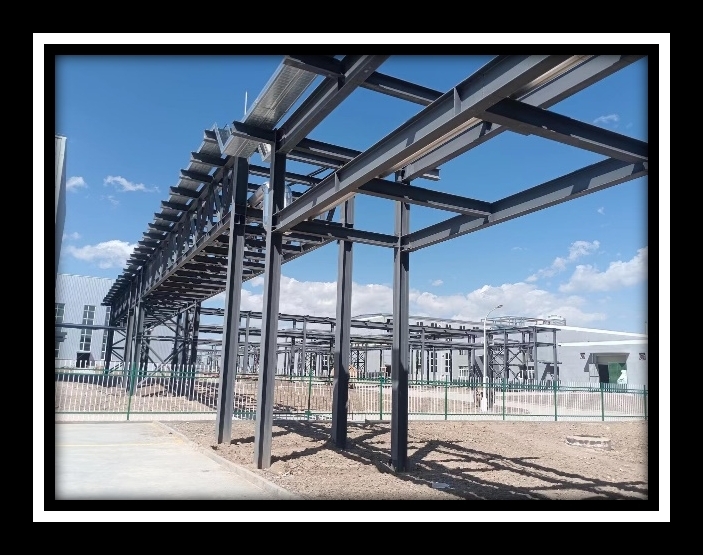 esball(�й���)�ٷ���վ