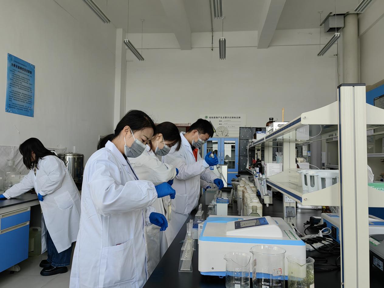 esball(�й���)�ٷ���վ