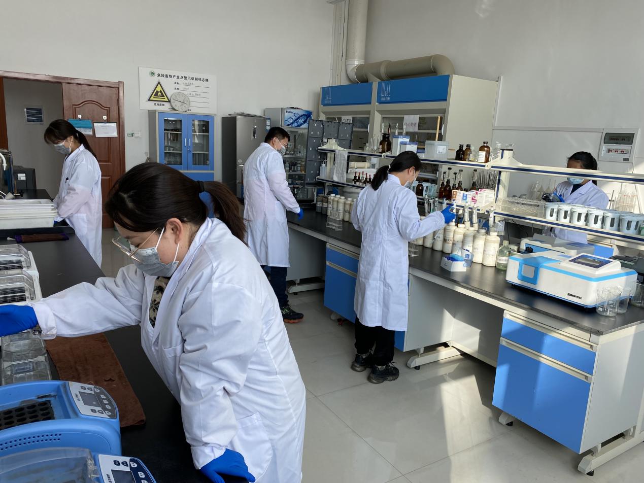 esball(�й���)�ٷ���վ