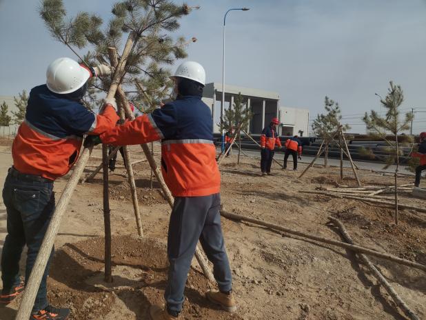 esball(�й���)�ٷ���վ