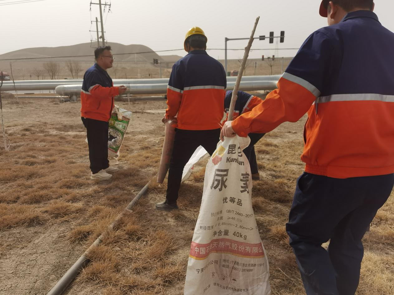 esball(�й���)�ٷ���վ