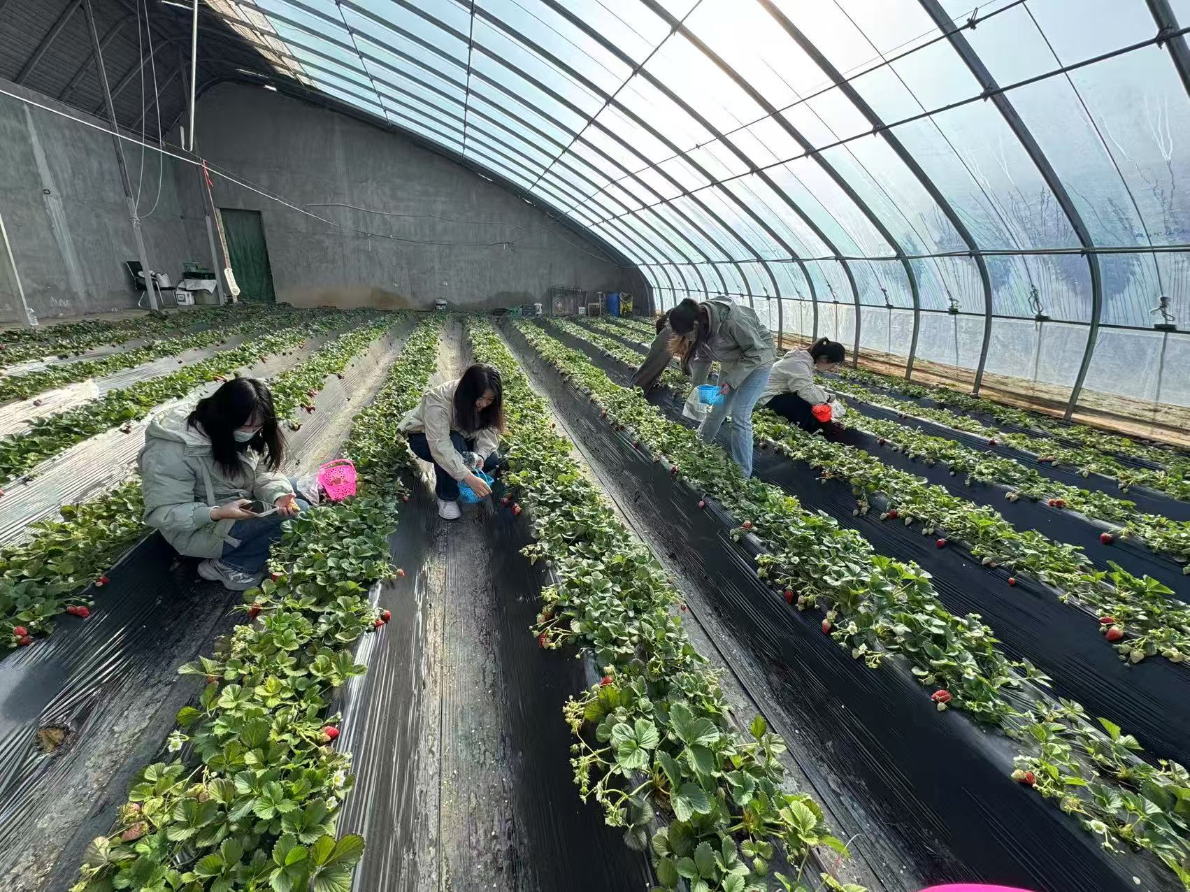 202503121741759970678301.jpg 8c8b99ca4c7b8041540ed35d7fbf374.jpg