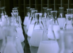 ��Ϣ����Ʒ